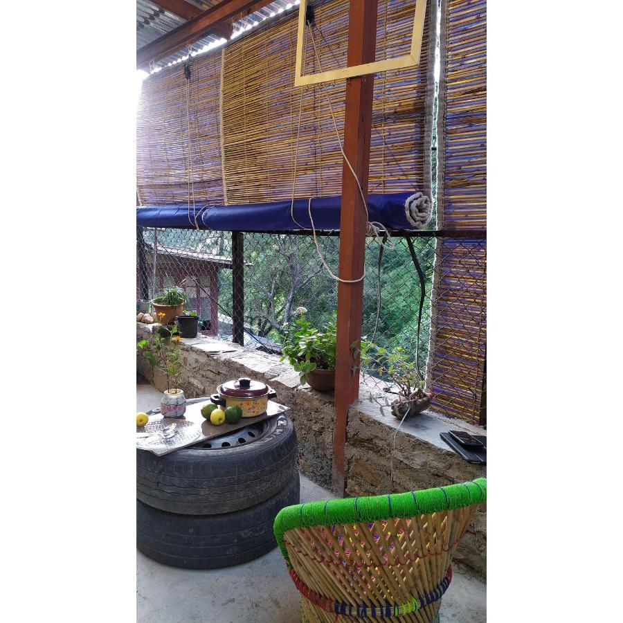 Shimla Gypsy - Home Stay Luaran gambar